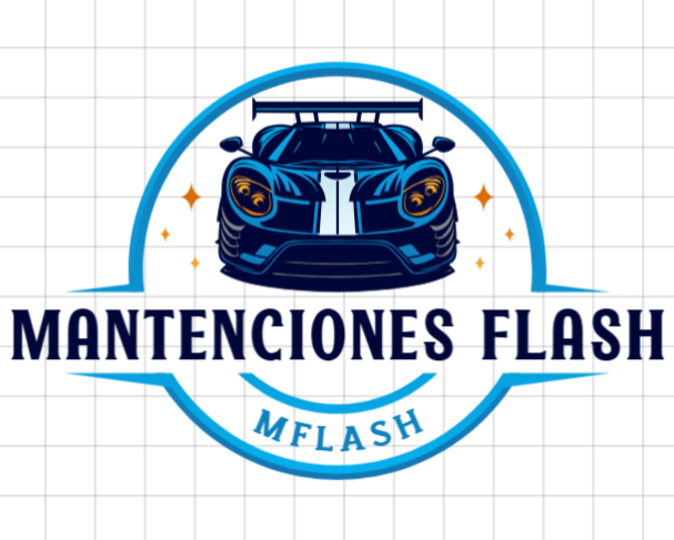 Mantenciones Flash Logo